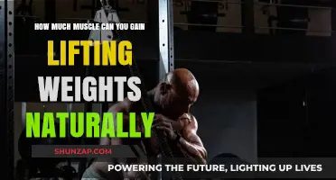 Maximizing Natural Muscle Growth: Realistic Gains from Weight Training