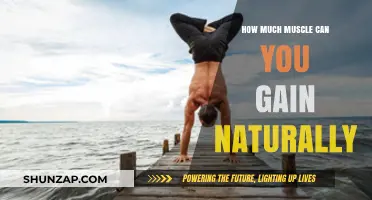 Maximize Natural Muscle Growth: Realistic Gains Without Steroids