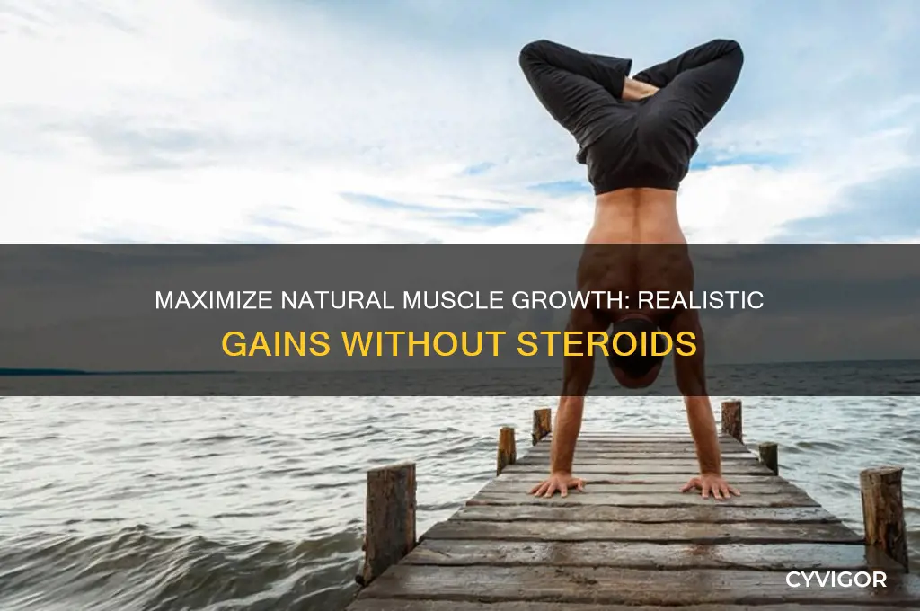 how much muscle can you gain naturally