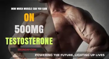 Muscle Gains on 500mg Testosterone: What to Expect