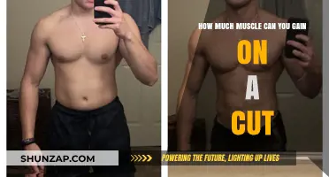 Maximizing Muscle Gains While Cutting: What’s Realistically Achievable?