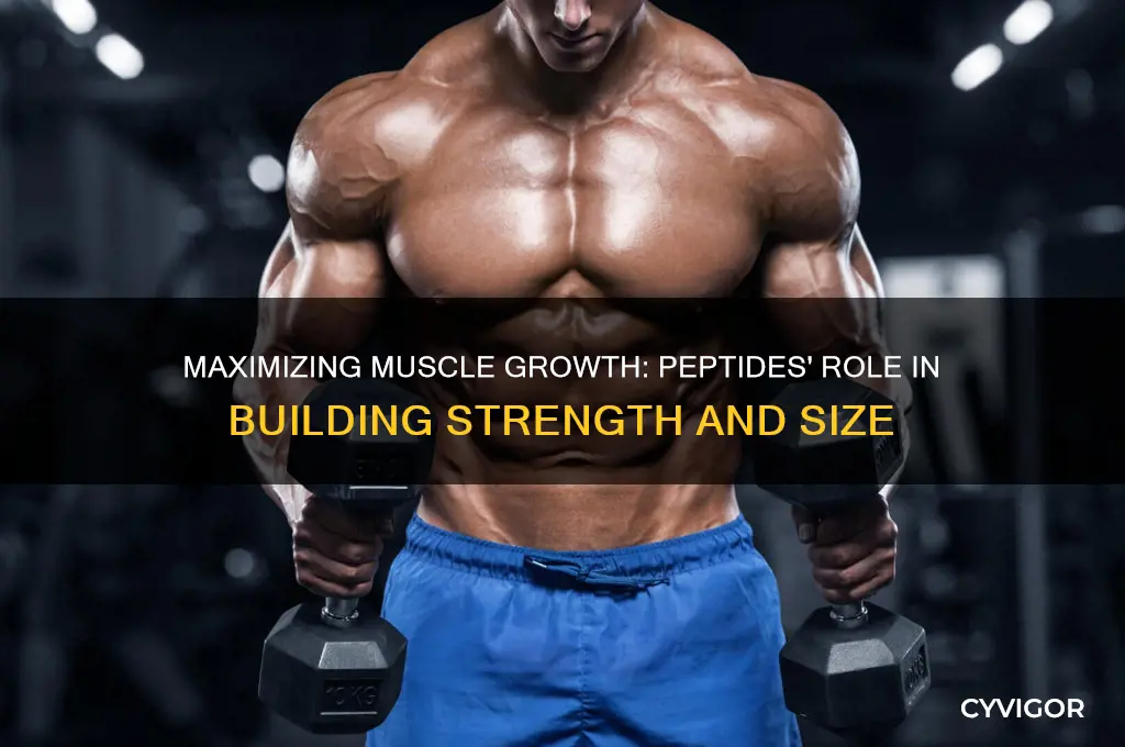 how much muscle can you gain on peptides
