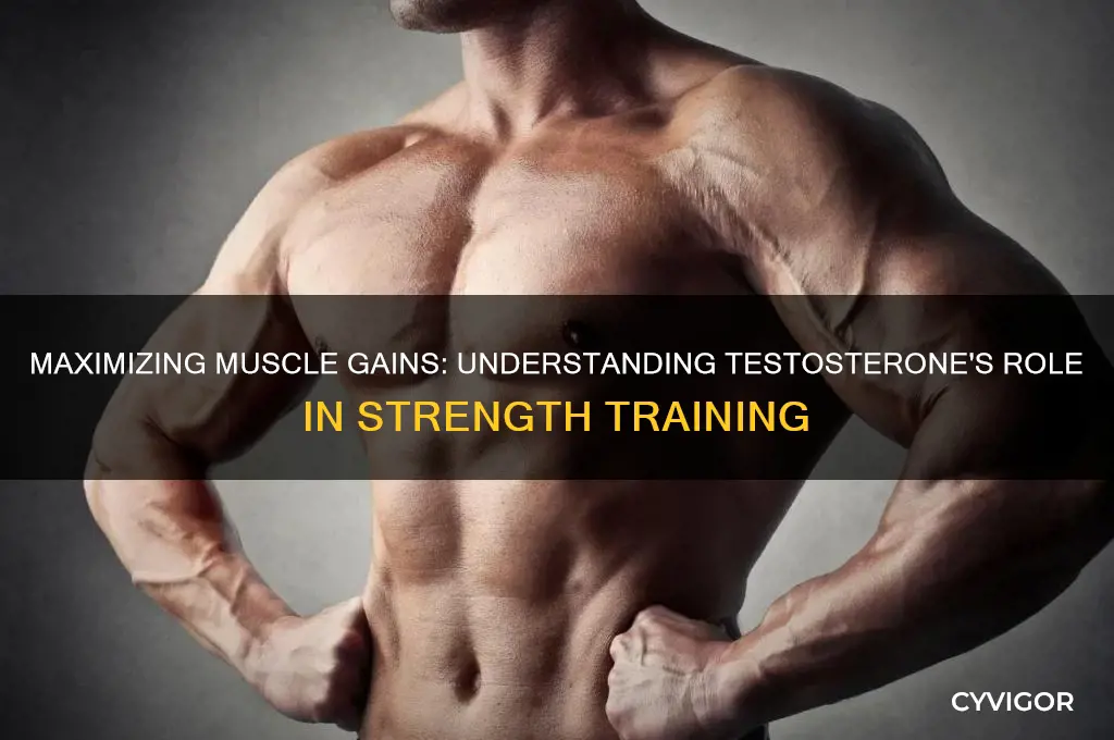 how much muscle can you gain on test