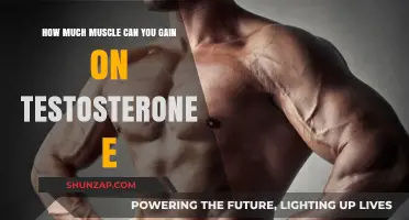 Muscle Gains on Testosterone E: Maximizing Growth and Results