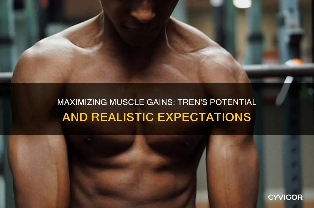 how much muscle can you gain on tren