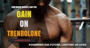 Maximizing Muscle Gains: Trenbolone's Potential and Limits Explained