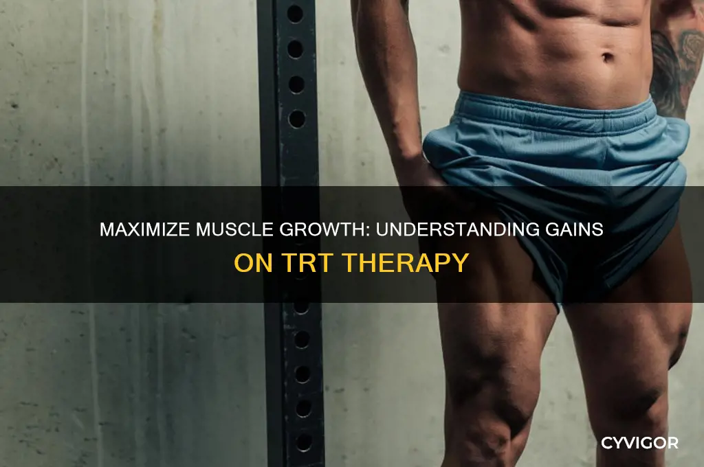 how much muscle can you gain on trt