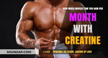 Maximizing Muscle Growth: Monthly Gains with Creatine Supplementation