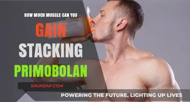 Maximize Muscle Gains: Primobolan Stacking Guide for Optimal Results