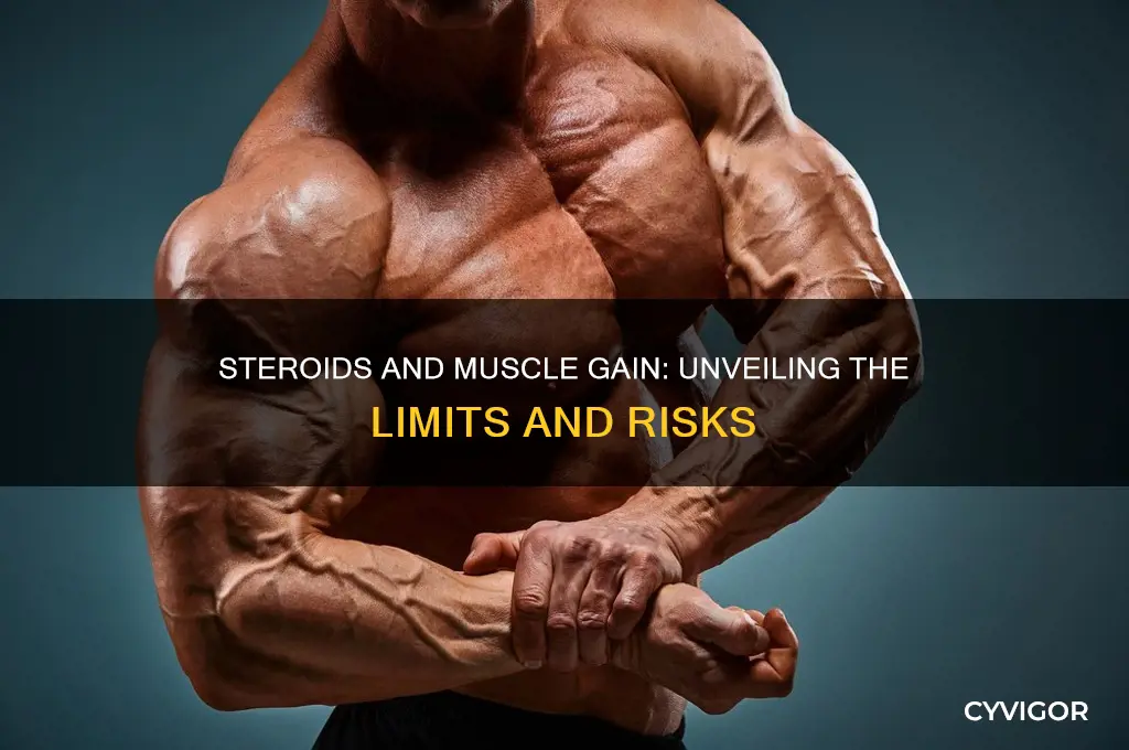 how much muscle can you gain with steroids