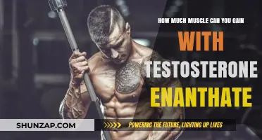 Testosterone Enanthate: Maximizing Muscle Gains and Results Explained