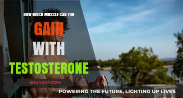 Testosterone's Role in Muscle Growth: Maximizing Gains and Potential