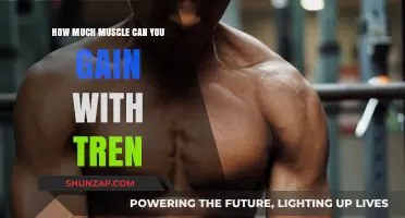 Maximizing Muscle Gains: Tren's Role in Building Strength and Size
