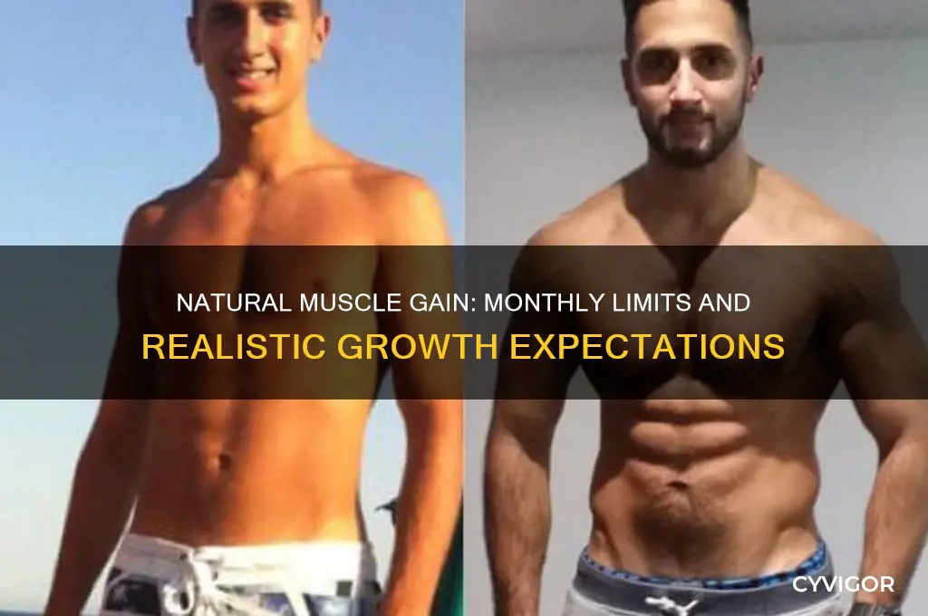 how much muscle can you naturally gain in a month