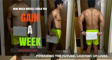 Maximizing Weekly Muscle Gains: Realistic Expectations and Strategies