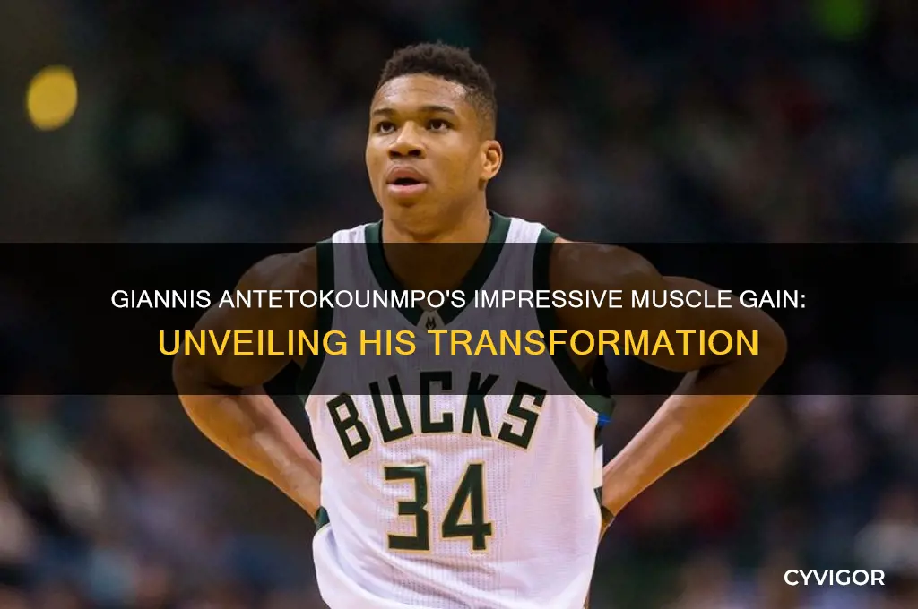 how much muscle did giannis gain