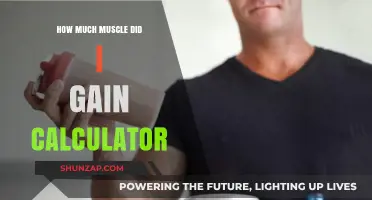 Calculate Your Muscle Gain: Accurate Tool for Tracking Progress