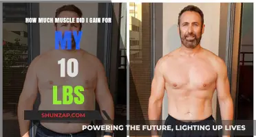 Tracking Muscle Gain: Unveiling the Truth Behind My 10-Pound Transformation