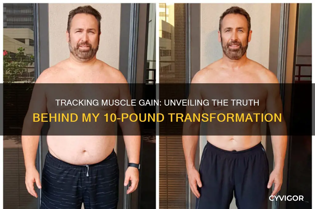 how much muscle did i gain for my 10 lbs
