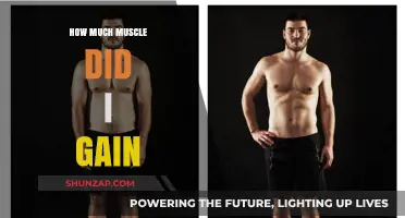 Tracking Muscle Gains: Measuring Your Strength and Growth Progress
