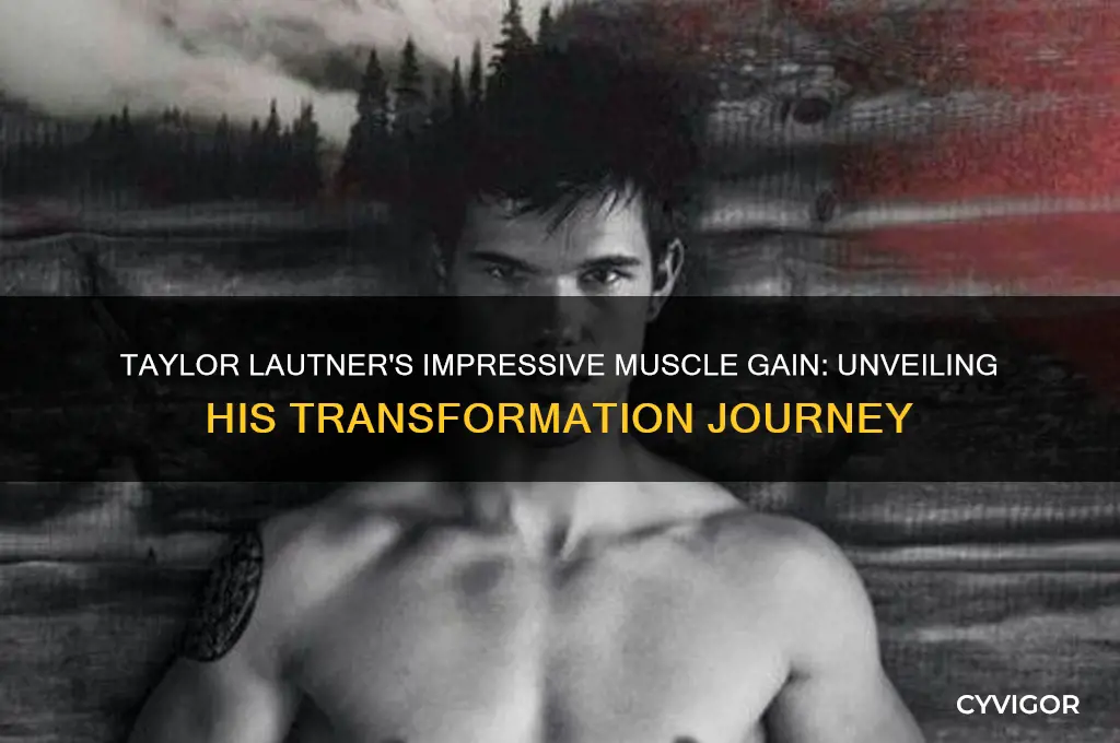 Taylor Lautner's Impressive Muscle Gain: Unveiling His Transformation ...