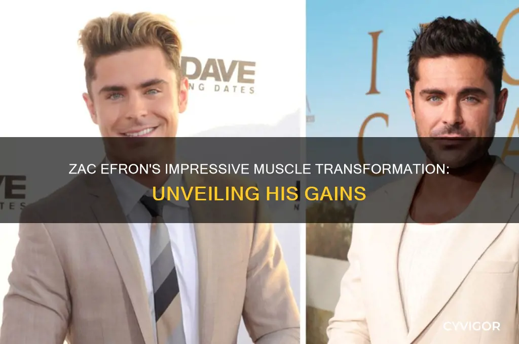 how much muscle did zac efron gain