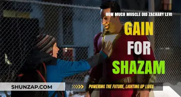 Zachary Levi's Shazam Transformation: Unveiling His Impressive Muscle Gain