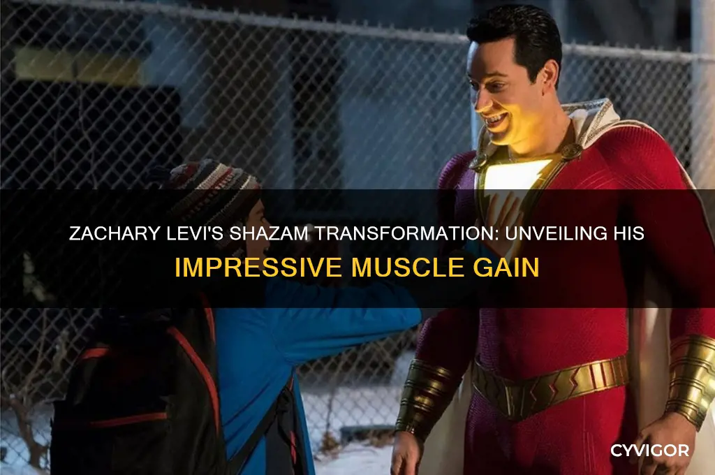 how much muscle did zachary levi gain for shazam