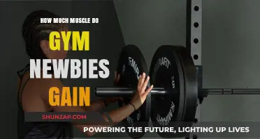 Muscle Gains for Beginners: What Gym Newbies Can Expect