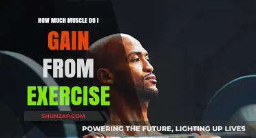 Maximizing Muscle Gain: Understanding Exercise Impact on Your Physique