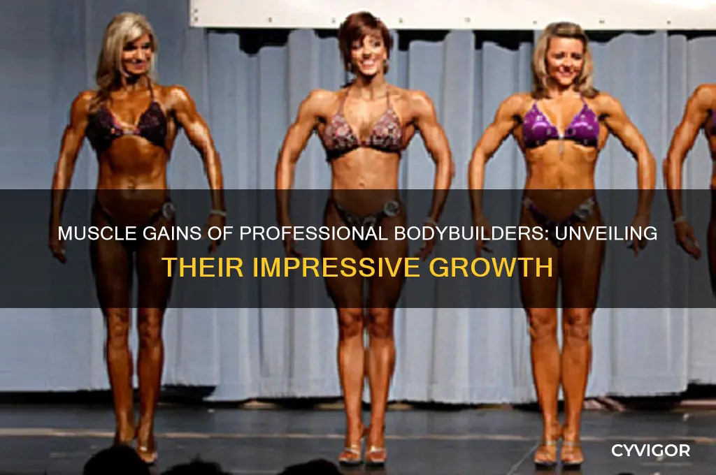 how much muscle do professional bodybuilders gain