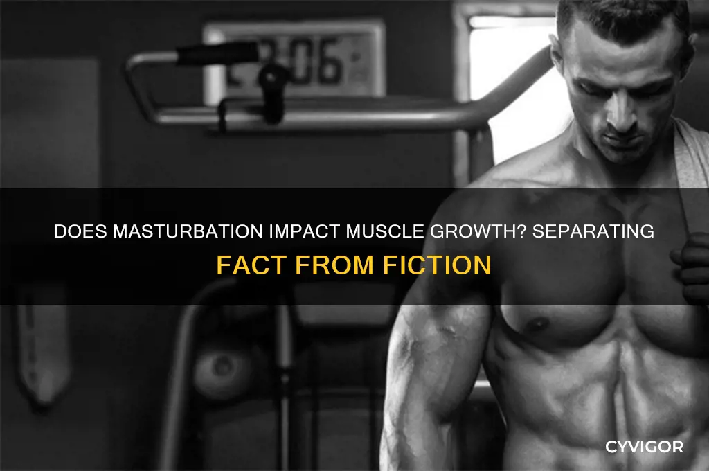 how much muscle do yopu gain from beating yo meat