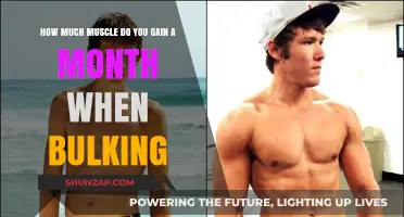 Monthly Muscle Gains: Understanding Bulking Progress and Realistic Expectations