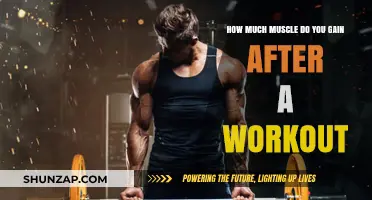 Muscle Gain Post-Workout: Understanding Your Body's Growth Process
