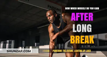 Muscle Recovery After a Long Break: What to Expect
