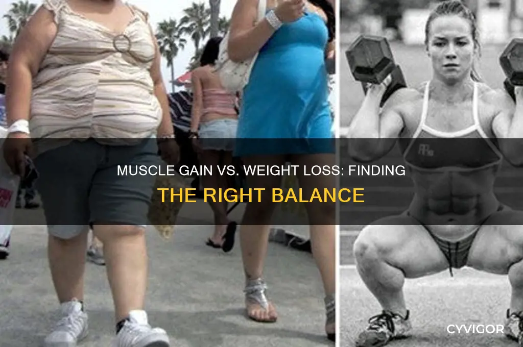 how much muscle do you gain before losing weight