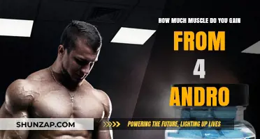 Muscle Gains from 4 Andro: What to Expect