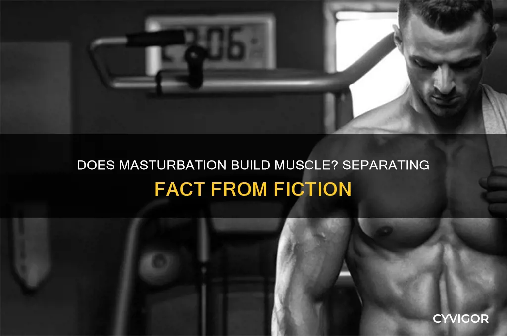 how much muscle do you gain from beating you meat