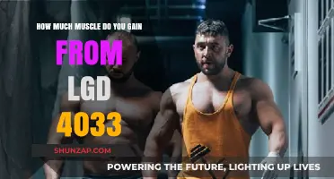 Muscle Gains with LGD 4033: What to Expect