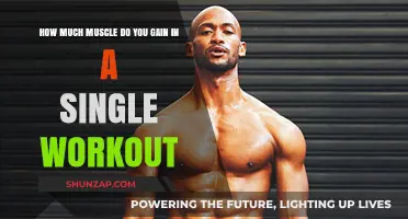 Muscle Gain Per Workout: Unveiling the Surprising Truth