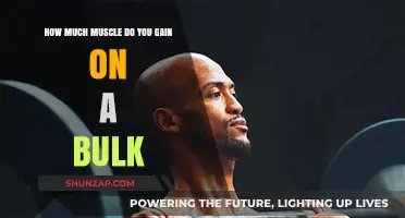 Muscle Gains on a Bulk: What to Realistically Expect