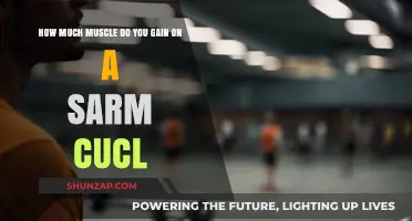 SARMs Cycle Muscle Gains: What to Realistically Expect