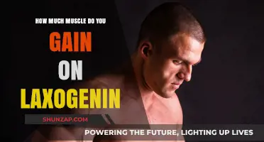Laxogenin Muscle Gains: Unlocking Natural Growth Potential and Results