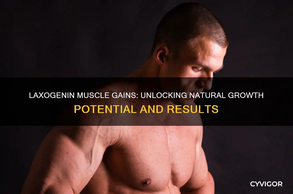 how much muscle do you gain on laxogenin