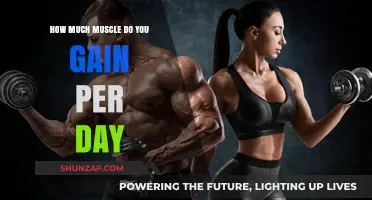 Daily Muscle Growth: Understanding Your Body's Natural Building Process