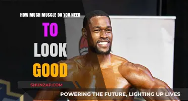 Muscle Mass for Aesthetics: Defining the Ideal Physique Balance