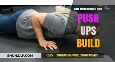 Unlocking Strength: The Surprising Muscle-Building Power of Push-Ups