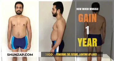 Maximizing Muscle Gain: One-Year Transformation Strategies and Results
