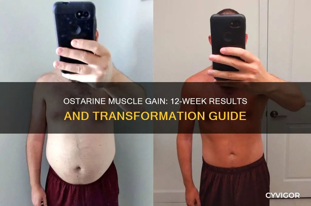 how much muscle gain 12 week ostarine