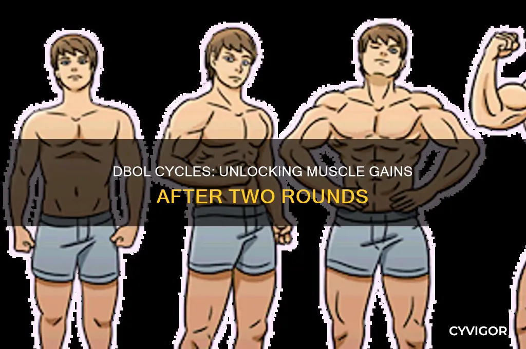 how much muscle gain after 2 dbol cycles